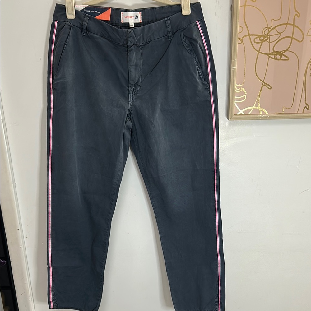 NWOT Sundry Charcoal Pants with Pink Accent- size 27